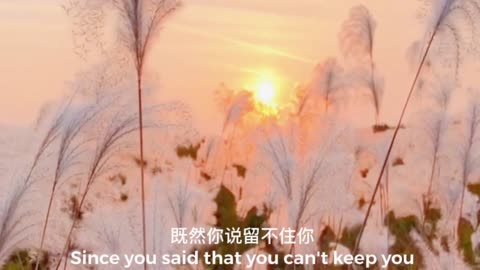 Deep Quotes That Will Make You Cry || Bright Quotes Top 13