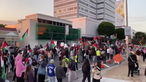 BLM members hold a rally for Hamas (Los Angeles, CA)