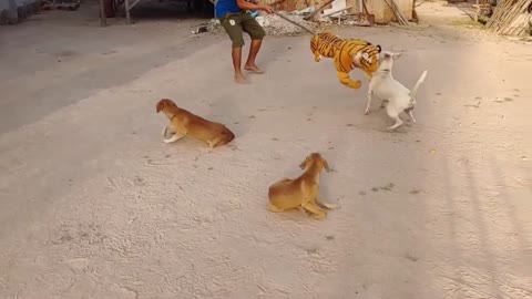 Wow !!! Fake Tiger Prank Dog So Funny Try To Stop Laugh challenge 2021