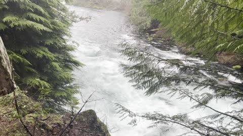 Hiking Above Incredible McKenzie River – Sahalie Falls & Koosah Falls Loop – Central Oregon – 4K