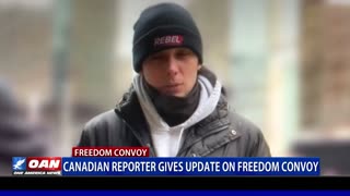 Canadian reporter gives update on Freedom Convoy