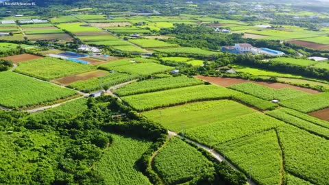 4K HD FLYING OVER JAPAN