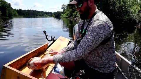 MUSKY FISHING NEW WATER!! - Massive Topwater Blow-Up on Whopper Plopper