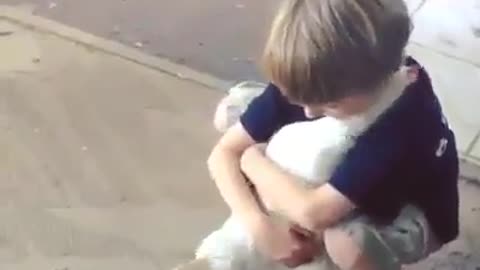 Animals love hugs