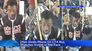 Man steals phone on CTA bus, punches victim in face