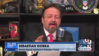 Seb Gorka: "Thats his problem apart from being surrounded by swamp creatures, he has no personality"