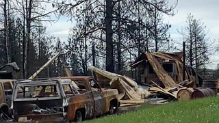 Bunch of Cars Demolished by "Forest Fire" But Where are the Trees?