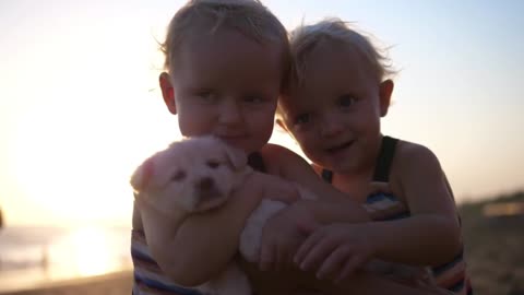 Toddler twins cuddling with sweet puppy on the beach