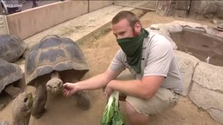 Zoo Day: Galapagos Tortoises at the San Diego Zoo
