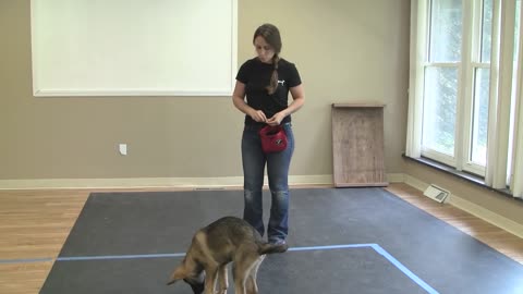 How to Train a Dog