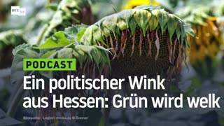 Ein politischer Wink aus Hessen: Grün wird welk
