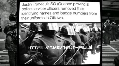 TRUDEAUS TYRRANT POLICY ENFORCERS REMOVE THEIR NAME AND NUMBER BADGES...