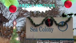 Merry Christmas from Sea Colony Oceanfront Rental