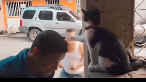 A sitting cat laying hands of blessings on people