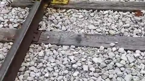 Proof of train derailments are sabotage