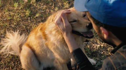 Petting the dog