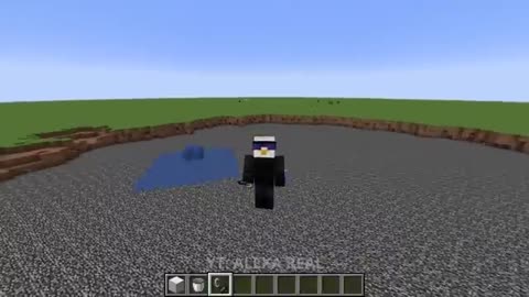 Minecraft video