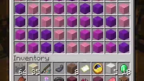 Who took my FREAKING Elytra?!?!?