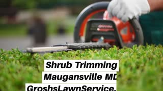 Shrub Trimming Maugansville MD Landscaping Contractor