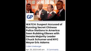 China Police in America - WTF