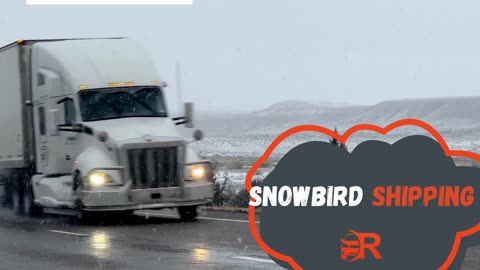 Snow Bird Shipping
