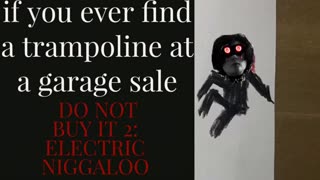if you ever find a trampoline at a garage sale. DO NOT BUY IT 2: ELECTRIC NIGGALOO