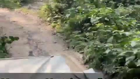 Rhino chasing behind the tourist to kill