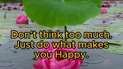 Don't think too much, just do what makes you happy.