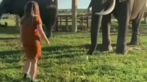 Girl plays football with elephant!