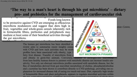 How to develop a healthy metabolism