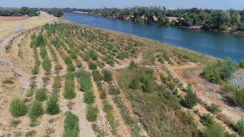 Southport Levee Floodplain Restoration-West Sacramento