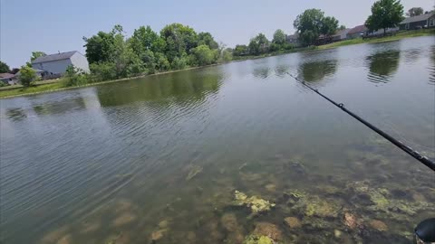 Bassin With BaseMints! Pond Hopping For Bass!!