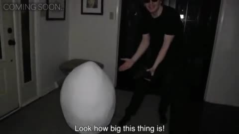 We Bought an EGG off the Dark Web!