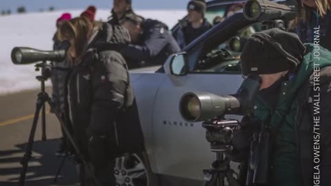 Spotting scopes enable a devoted group to observe wild wolves at Yellowstone National Park.