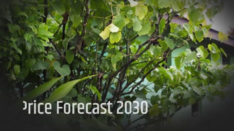 Kava Price Prediction 2023, 2025, 2030 - How high will KAVA go