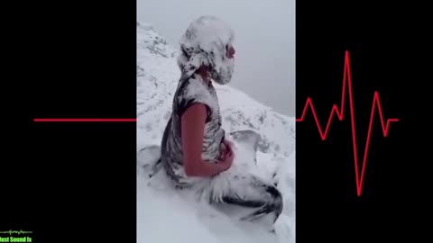 Monk Meditating In Freezing Temperatures
