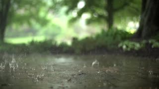 Natural Rain nature videos of falling rain on street