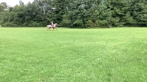 Horse riding failed