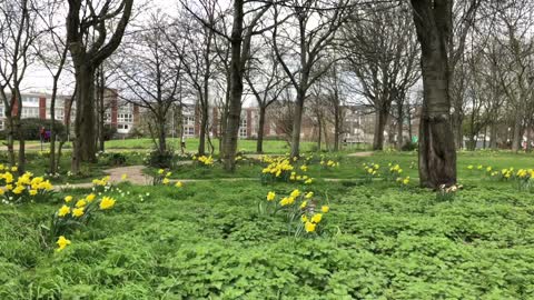 Mile End Park - The Nature of London, United Kingdom