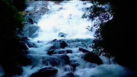 Discover Wayanad's Torrential River at Nadukani Estate | Kerala, India