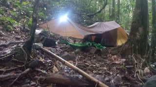 Camping in the jungle
