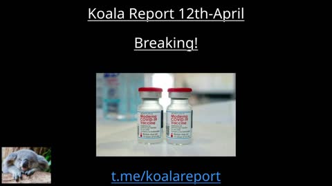 Koala Rerport 12th April 2022