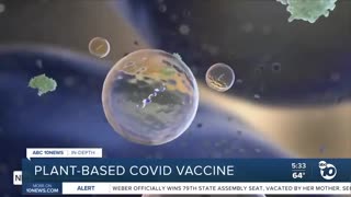 PLANT BASED COVID VACCINE - ABC NEWS 2022