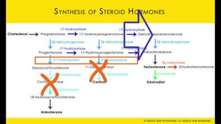 Is PCOS a MISDIAGNOSIS?