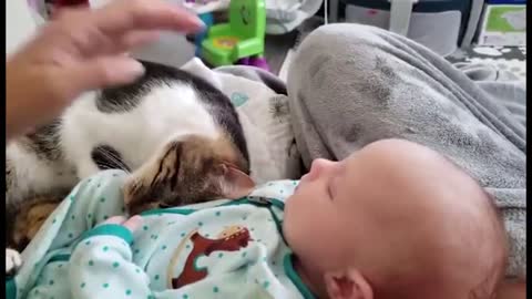 Blind Cat Snuggles Next to Baby