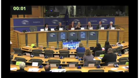 Pfizer representitive's hearing in the special COVID committee of the European Parliament