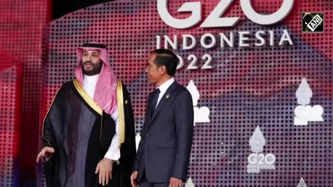 World leaders have arrived in Bali, G20 Summit kicks off