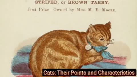 Cats: Their Points and Characteristics, with Curiosities of Cat Life, Plus Feline Ailments