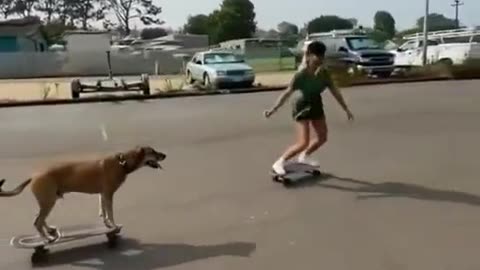 My Dog Playing Skateboard with me