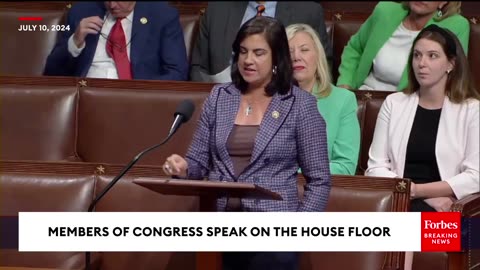 'This Is Why We Need This Bill...'- Malliotakis Discusses The Need To Require Citizenship To Vote